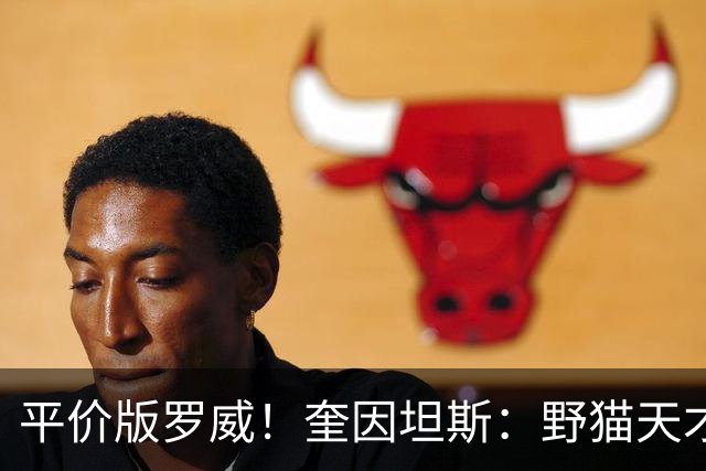 平价版罗威！奎因坦斯：野猫天才内线 存伤病隐患 罚球致敬米切罗